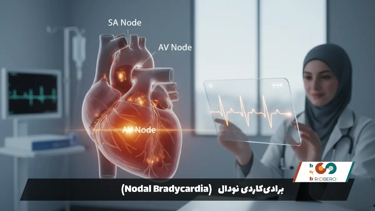 برادی‌کاردی نودال (Nodal Bradycardia)